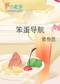 笨蛋导航