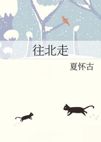 往北走