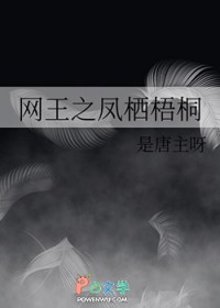 [网王同人] 网王之凤栖梧桐