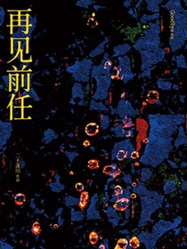 再见前任