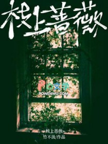 枝上蔷薇