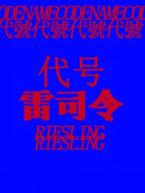 代号：雷司令