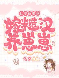 七零新婚夜:嫁糙汉养崽崽